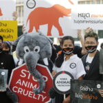 องค์กรพิทักษ์สัตว์แห่งโลกและภาคประชาสังคม<br>ยื่น 16,000 รายชื่อ ผลัก ‘ร่าง พ.ร.บ.ช้างไทย’