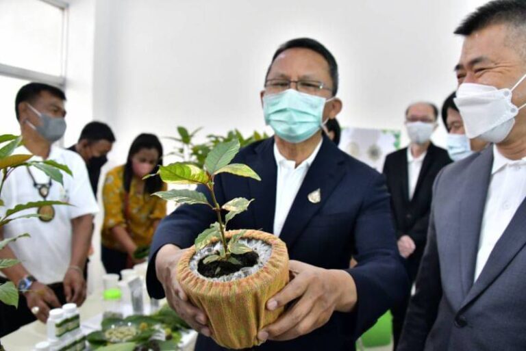 รมว.ยุติธรรม เปิดกิจกรรมพืชกระท่อม เตรียมเดินสาย 4 จ.ใต้ ชี้ปลดล็อกแล้ว เปลี่ยนใบไม้เป็นเงินแสนล้าน สเต็ปต่อไปผลักดันส่งออกสู้ตลาดต่างประเทศ นักวิชาการแนะเร่งวิจัยพัฒนาผลิตภัณฑ์ ยันไม่มีผลกระทบสุขภาพ “อ.ไข่มาลีฮวนน่า”ปลื้มแต่งเพลง”วันที่รอคอย”ให้