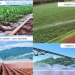 กระทรวงเกษตรฯผนึกศูนย์AIC77จังหวัดถ่ายทอด701 นวัตกรรมสู่เกษตรอัจฉริยะกว่า 8พันราย พร้อมเชื่อมฐานข้อมูลกับสภาเกษตรกรแห่งชาติหวังพลิกโฉมภาคเกษตรด้วยเทคโนโลยีและ<br>บิ๊กดาต้า<br>“อลงกรณ์”เร่งจบงานเนชั่นแนลซิงเกิลวินโดว์(NSW)และดิจิตอล ทรานสฟอร์เมชั่น(Digital Transformation)ภายใต้5ยุทธศาสตร์เฉลิมชัยภายในปีนี้