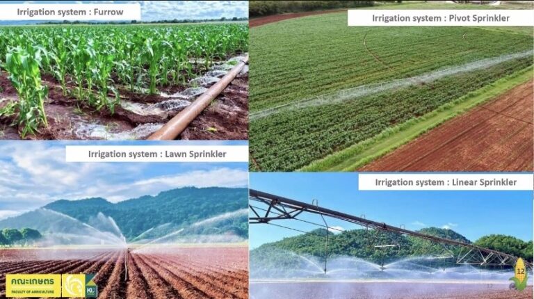กระทรวงเกษตรฯผนึกศูนย์AIC77จังหวัดถ่ายทอด701 นวัตกรรมสู่เกษตรอัจฉริยะกว่า 8พันราย พร้อมเชื่อมฐานข้อมูลกับสภาเกษตรกรแห่งชาติหวังพลิกโฉมภาคเกษตรด้วยเทคโนโลยีและบิ๊กดาต้า“อลงกรณ์”เร่งจบงานเนชั่นแนลซิงเกิลวินโดว์(NSW)และดิจิตอล ทรานสฟอร์เมชั่น(Digital Transformation)ภายใต้5ยุทธศาสตร์เฉลิมชัยภายในปีนี้