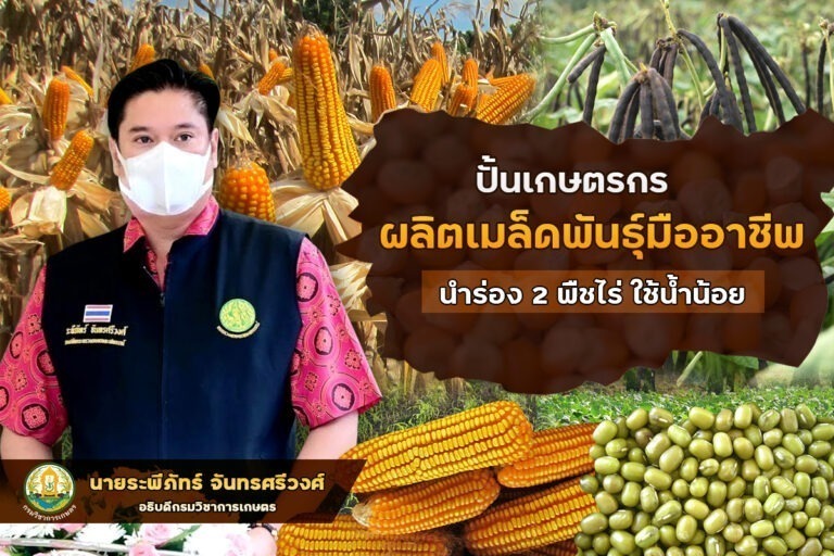 เกษตรฯ เตรียมความพร้อมเกษตรกรสู่มืออาชีพผลิตเมล็ดพันธุ์พืชไร่ใช้น้ำน้อยปลูกช่วงแล้ง