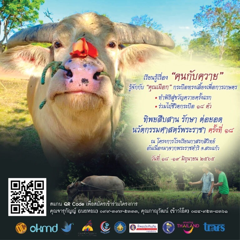 เปิดรับสมัคร ครู อาจารย์ ทั่วประเทศ และทุกท่านที่สนใจ เข้าร่วม โครงการ “ทิพยสืบสาน รักษา ต่อยอด นวัตกรรมศาสตร์พระราชา ครั้งที่ ๑๘