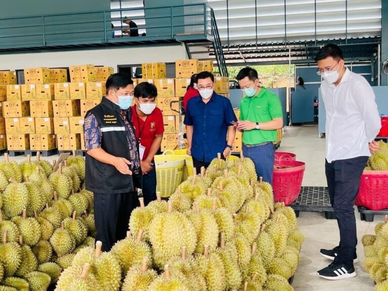 “อลงกรณ์”แจงปัญหาทุเรียนไทยไร้คุณภาพส่งออกไปจีนหลังมีคลิปแชร์ว่อนโลกโซเชียลยอมรับส่งออกทุเรียน120ล้านลูก4แสนตันใน4เดือนย่อมมีผิดพลาดบ้างยืนยันฟรุ้ทบอร์ดแก้ไขปัญหาจนสถานการณ์ดีขึ้น ทำให้ไทยครองแชมป์ส่งออกทุเรียนไปจีนเป็นอันดับหนึ่งทะลุแสนล้านเป็นครั้งแรก