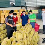 “เฉลิมชัย”ทำลายสถิติสำเร็จอีกครั้งส่งออกผลไม้ครึ่งปีแรกทะลุ 1 ล้านตัน สร้างรายได้กว่า 8 หมื่นล้าน ชื่นชมชาวสวนภาครัฐภาคเอกชนร่วมมือพัฒนาคุณภาพจนครองแชมป์ตลาดจีนเด็ดขาดเกือบ 50 % แต่ห่วงลำไยทรุดสั่งฟรุ้ทบอร์ดปรับกลยุทธ์เร่งแก้ไข