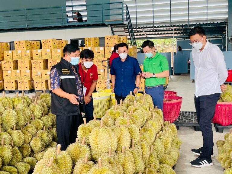 “เฉลิมชัย”ทำลายสถิติสำเร็จอีกครั้งส่งออกผลไม้ครึ่งปีแรกทะลุ 1 ล้านตัน สร้างรายได้กว่า 8 หมื่นล้าน ชื่นชมชาวสวนภาครัฐภาคเอกชนร่วมมือพัฒนาคุณภาพจนครองแชมป์ตลาดจีนเด็ดขาดเกือบ 50 % แต่ห่วงลำไยทรุดสั่งฟรุ้ทบอร์ดปรับกลยุทธ์เร่งแก้ไข
