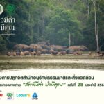 โครงการปลูกจิตสำนึกอนุรักษ์ธรรมชาติและสิ่งแวดล้อม การประกวดภาพถ่าย ‘สัตว์มีค่า ป่ามีคุณ’ คร้งที่ 28 ประจำปี 2565