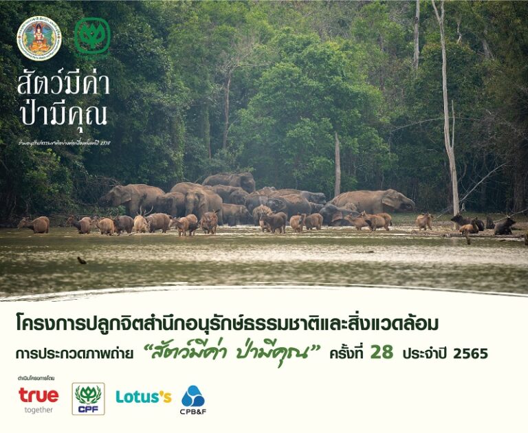 โครงการปลูกจิตสำนึกอนุรักษ์ธรรมชาติและสิ่งแวดล้อม การประกวดภาพถ่าย ‘สัตว์มีค่า ป่ามีคุณ’ คร้งที่ 28 ประจำปี 2565