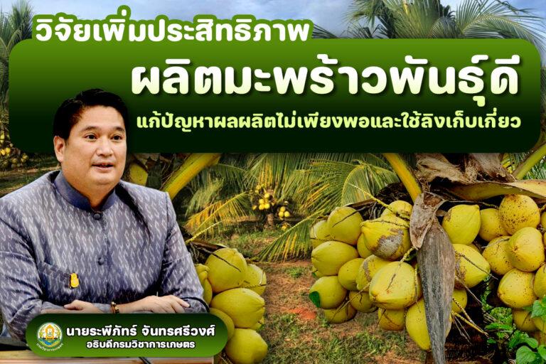 โครงการวิจัยเพิ่มประสิทธิภาพการผลิตมะพร้าวพันธุ์ดีแก้ปัญหาผลผลิตไม่เพียงพอและใช้แรงงานลิงในการเก็บเกี่ยว