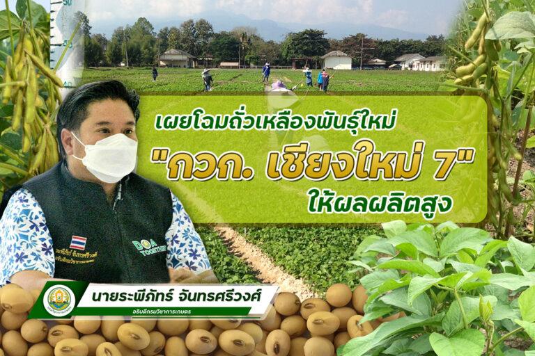 ถั่วเหลืองพันธุ์ใหม่ “ กวก. เชียงใหม่ 7”ให้ผลผลิตสูง ตอบโจทย์โดนใจเกษตรกร