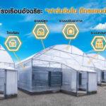 ปลูกกัญชาทางการแพทย์ ควบคุมคุณภาพผลิตผลได้ด้วยระบบโรงเรือนอัจฉริยะ “ฟาร์มอินโน (ไทยแลนด์)”