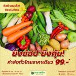 Talaadthai Online (ตลาดไทออนไลน์) ต้อนรับเทศกาลกินเจ<br>จัดแคมเปญ “ดีลดี ของเด็ด! ต้อนรับกินเจ” พร้อมโปรสุดปัง! ส่งฟรีทั่วไทย