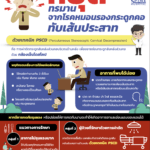 แพทย์ผู้เชี่ยวชาญเฉพาะทางด้านกระดูกสันหลังและระบบประสาท เตือน!คนไทยเร่งปรับพฤติกรรมหลังพบอัตราผู้ป่วยด้วยโรคกระดูกคอเสื่อมสูงขึ้นอย่างต่อเนื่อง