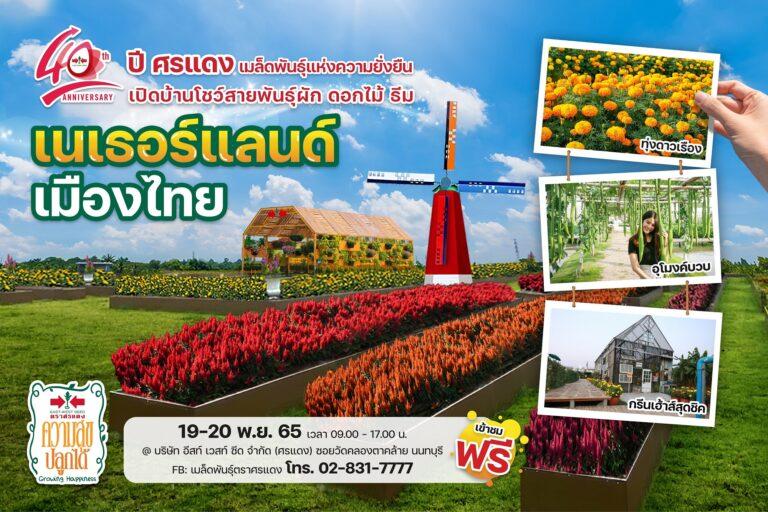 ศรแดงครบ 40 ปีเปิดบ้านภายใต้แนวคิดเนเธอร์แลนด์เมืองไทย