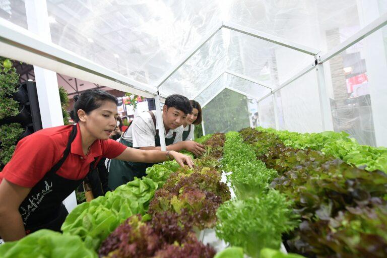 ธนวัฒน์ ว่องไวตระการ “Young Smart Farmer” เกษตรกรรุ่นใหม่กับการพลิกแนวคิด เพิ่มมูลค่าผลผลิต ตอบเทรนด์ผู้บริโภค