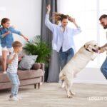 มาเตรียม “พื้น” ที่ดีที่สุด แทนความรักความห่วงใย จาก “นุด” สู่ “น้อง”ตอบโจทย์เทรนด์ Pet Humanization จากแอลที บายคอตโต้