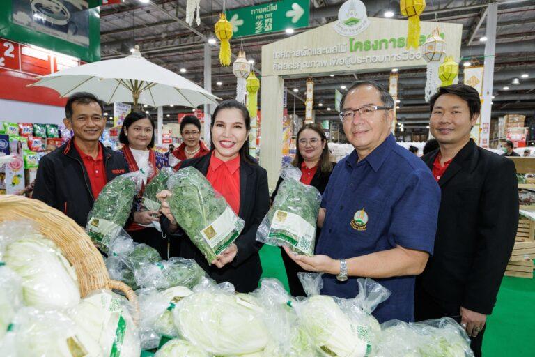 ซูเปอร์ฟู้ด กู้ดเฮลท์ ‘ผักเคล’ โครงการหลวงผลผลิตเกษตรกรบนพื้นที่สูง สู่แม็คโคร