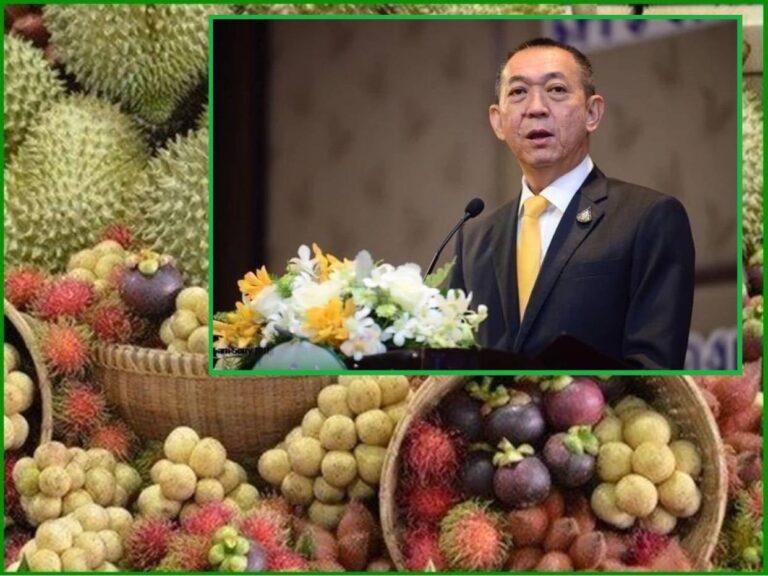 “เฉลิมชัย”มอบฟรุ้ทบอร์ดเร่งเดินหน้า 23 มาตรการเชิงรุกภายใต้แผนบริหารจัดการผลไม้ฤดูกาลผลิตปี 2566“อลงกรณ์”ย้ำนโยบายรักษาคุณภาพมาตรฐานมุ่งสร้างแบรนด์ยกระดับราคาผลไม้ไทย กำชับใช้มาตรการเด็ดขาดป้องกันปัญหาทุเรียนอ่อนทุเรียนสวมสิทธิ์