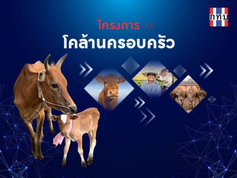 “อนุชา” เดินหน้าผลักดันเศรษฐกิจฐานรากเปิดโครงการ “โคล้านครอบครัว” หวังให้สมาชิกกองทุนฯ มีรายได้ และมีความมั่นคงในครอบครัว