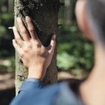 เต็ดตรา แพ้ค ได้รับการยกย่องให้เป็นผู้นำด้านสภาพอากาศของยุโรปประจำปี 2566 โดย FINANCIAL TIMES