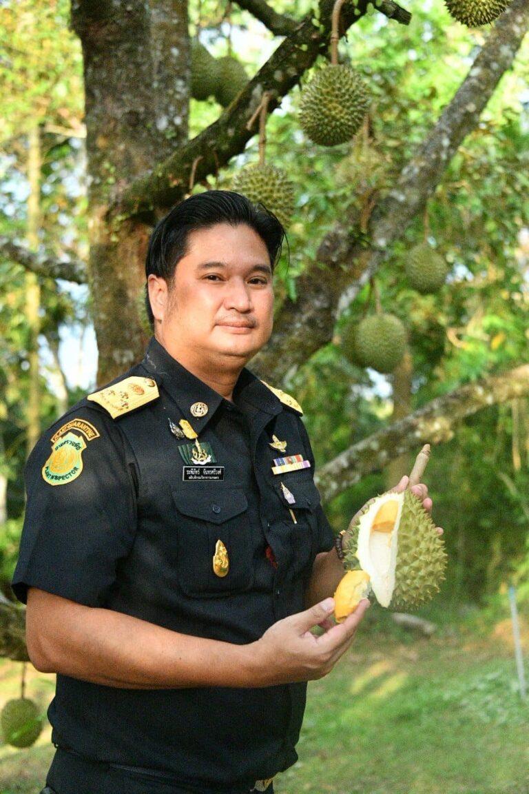 เห็ดเรืองแสงสิรินรัศมีชีวภัณฑ์ทางเลือกใหม่ปราบโรครากเน่าโคนเน่าในทุเรียน