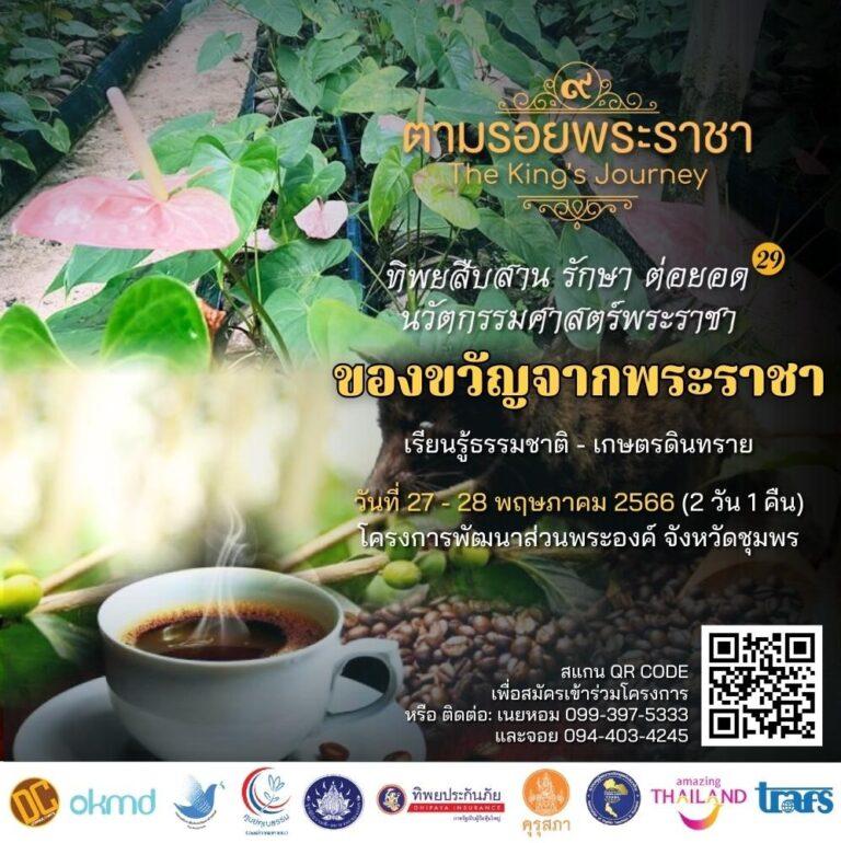 โครงการทิพยสืบสาน รักษา ต่อยอดนวัตกรรมศาสตร์พระราชา ครั้งที่ 29