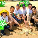 ไมโลรวมพลังหลอดรักษ์โลกจับมือครอบครัวรุ่นใหม่ ปล่อยเต่าคืนสู่ทะเล พร้อมปลูกฝังจิตรักษ์สิ่งแวดล้อม