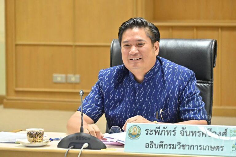 กรมวิชาการเกษตร ชงปลูกงาอินทรีย์และ GAP เสริมรายได้หลังนา