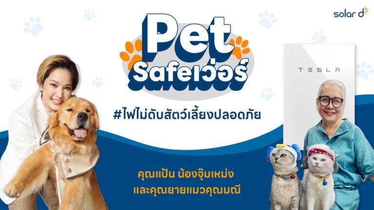 Solar D จัดงาน Pet Safe เว่อร์! ไฟไม่ดับสัตว์เลี้ยงปลอดภัยร่วมแชร์ประสบการณ์และเปิดมุมมองความสำคัญของไฟฟ้า ผ่านเจ้าของ 2 เพจชื่อดัง