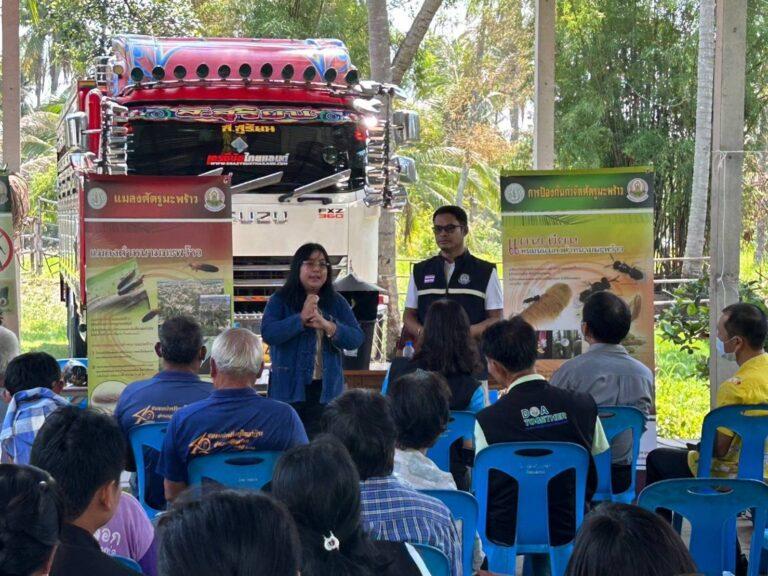 กรมวิชาการเกษตร ผนึกกำลัง สำนักงานเกษตรอำเภอทับสะแกลุยสาธิตวิธีปราบ 2 แมลงศัตรูมะพร้าวสร้างความมั่นใจให้เกษตรกร