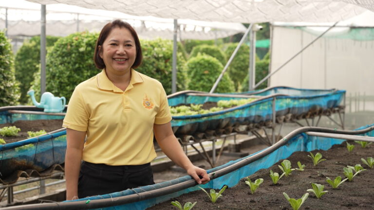 ผักสลัดนี้มีความหมาย ที่ “โก โฮลเซลล์ สาขารังสิต”<br>ผลผลิตสร้างโอกาส เพิ่มทักษะ ส่งเสริมผู้บกพร่องทางสติปัญญา