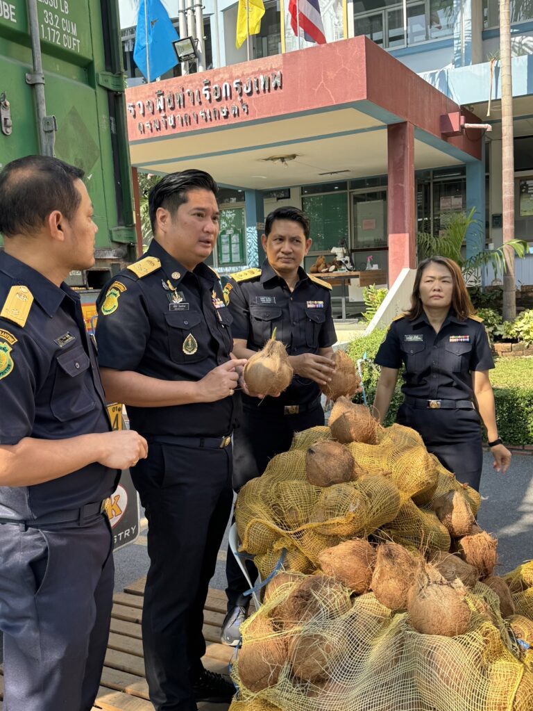 ธรรมนัส สั่ง! กรมวิชาการเกษตร คุมเข้มนำเข้ามะพร้าว<br>พบแมลงศัตรูพืช การงอก ส่งกลับหรือเผาทำลายทันที<br>พร้อมขยายผลตรวจเข้มสินค้าเกษตรอื่นๆ แนวชายแดน ป้องกันลักลอบนำเข้า