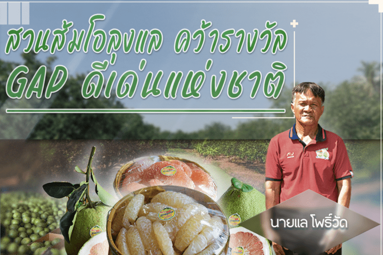 สวนส้มโอลุงแล เมืองชาละวัน คว้ารางวัลเกษตรกร GAP ดีเด่นแห่งชาติ ปี 67