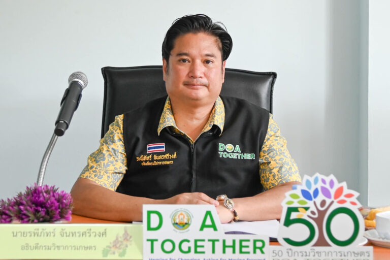 “งาดำพันธุ์อุบลราชธานี 3” พืชหลังนาสร้างรายได้เสริมให้เกษตรกรกว่า 3,000 บาท/ไร่