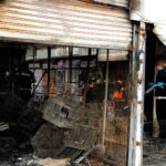 แถลงการณ์องค์กรพิทักษ์สัตว์แห่งโลก กรณีไฟไหม้สวนจตุจักร ส่งผลกระทบต่อสัตว์และผู้เกี่ยวข้อง