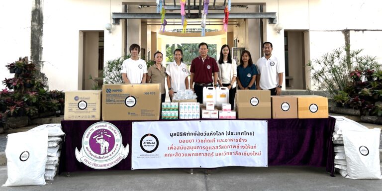 เร่งฟื้นฟูหลังน้ำท่วม! มูลนิธิพิทักษ์สัตว์แห่งโลก (ประเทศไทย) ให้ความช่วยเหลือเพื่อการฟื้นฟูสวัสดิภาพช้างที่ได้รับผลกระทบ