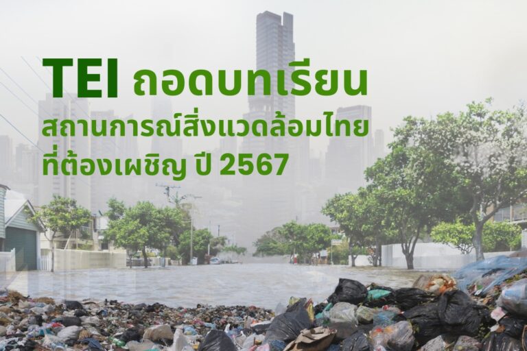 TEI ถอดบทเรียนสถานการณ์สิ่งแวดล้อมไทยที่ต้องเผชิญ ปี 2567 พลังงานทางเลือกที่เข้ามีบทบาทมากขึ้นในปี 2568