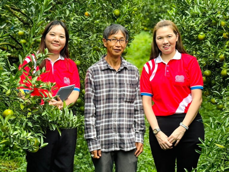 โก โฮลเซลล์ เปิดฤดูกาลส้มสายน้ำผึ้งรับลมหนาว ชูความปลอดภัยตลอดห่วงโซ่ส่งตรงจากแหล่งดัง อ.ฝาง จ.เชียงใหม่ ช่วยเกษตรกรกระจายผลผลิตทั่วประเทศ