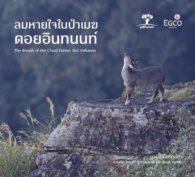 EGCO Group โดย มูลนิธิไทยรักษ์ป่า ชวนมาสัมผัสป่าต้นน้ำและสัตว์ป่าบนดอยอินทนนท์ ในนิทรรศการภาพถ่าย “ลมหายใจในป่าเมฆ ดอยอินทนนท์” ณ หอศิลปกรุงเทพฯ 4 – 16 ก.พ. 68