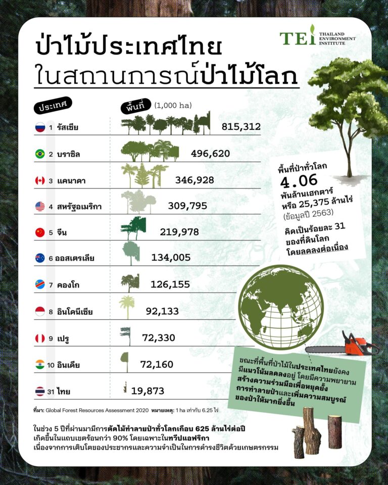 วันป่าไม้โลก นักวิชาการ แนะเร่งสร้างความร่วมมือ รัฐ-ประชาชน-เอกชน ป้องกันและฟื้นฟูในการจัดการป่าที่ยั่งยืน