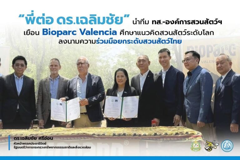 องค์การสวนสัตว์แห่งประเทศไทย และ Fundación Bioparc ลงนามบันทึกข้อตกลง เพื่อส่งเสริมการแลกเปลี่ยนองค์ความรู้ด้านการดูแลสัตว์ พื้นที่จัดแสดง การจัดการสวนสัตว์ และการฝึกอบรมบุคลากร อันจะเป็นประโยชน์ต่อการพัฒนาและยกระดับสวนสัตว์ของไทยสู่มาตรฐานระดับโลก