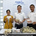 ไบโอเทค สวทช. พัฒนา “เห็ดแครงสายพันธุ์ใหม่” คุณภาพสูงพร้อมปูทางสู่เกษตรกร และชี้ทางต่อยอดเป็นแหล่งโปรตีนทางเลือก