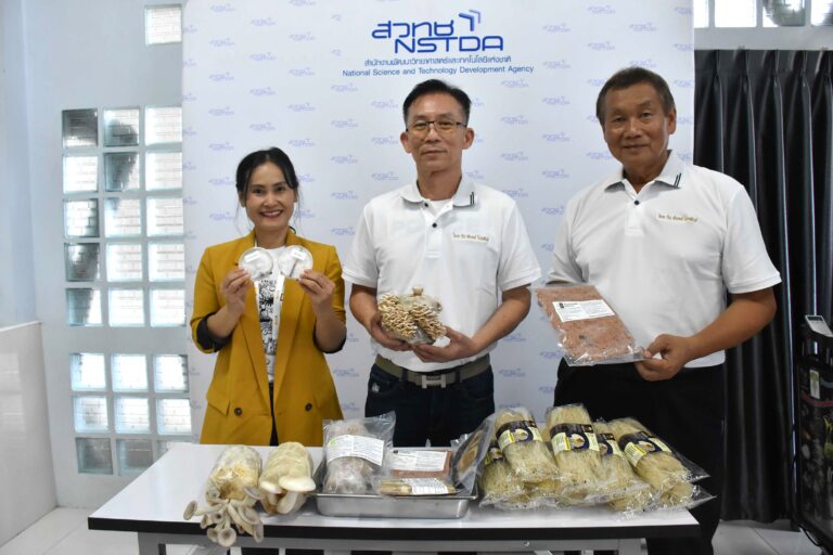 ไบโอเทค สวทช. พัฒนา “เห็ดแครงสายพันธุ์ใหม่” คุณภาพสูงพร้อมปูทางสู่เกษตรกร และชี้ทางต่อยอดเป็นแหล่งโปรตีนทางเลือก
