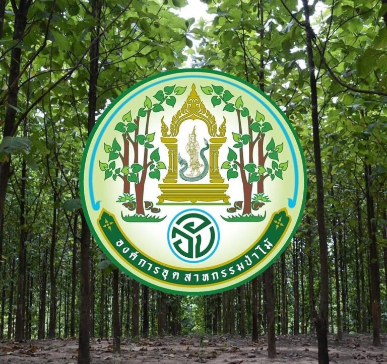 78 ปี องค์การอุตสาหกรรมป่าไม้ สืบสาน รักษา ต่อยอด ผืนป่าให้คงอยู่สู่ความยั่งยืน