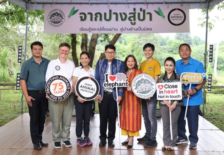 เปิดตัว Elephant Forest Phitsanulok “จากปางสู่ป่า” ต้นแบบปางช้างสวัสดิภาพสัตว์ระดับโลก แห่งแรกในภาคเหนือตอนล่าง