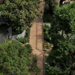 Dusit Central Park เผยความพร้อมของ Roof Park สวนลอยฟ้าใจกลางเมืองที่ใหญ่ที่สุดในประเทศไทย แลนด์มาร์คใหม่ เตรียมต้อนรับทุกคน 3 กันยายน นี้