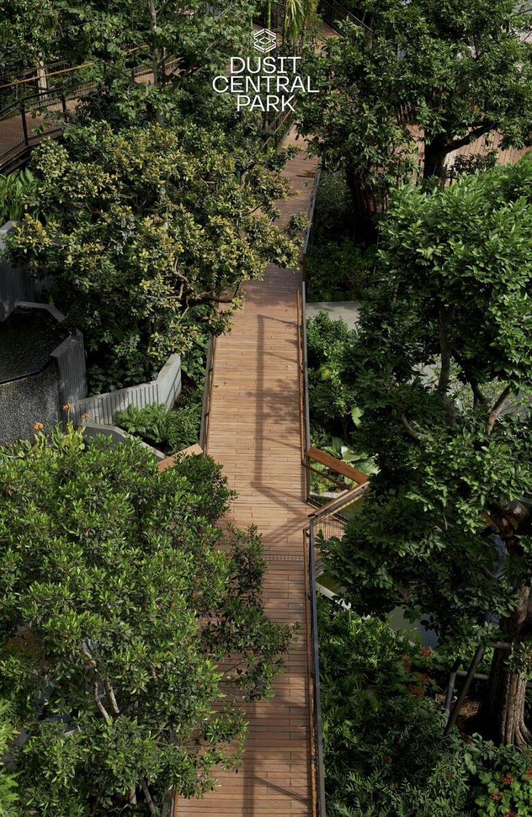 Dusit Central Park เผยความพร้อมของ Roof Park สวนลอยฟ้าใจกลางเมืองที่ใหญ่ที่สุดในประเทศไทย แลนด์มาร์คใหม่ เตรียมต้อนรับทุกคน 3 กันยายน นี้