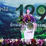 129 ปี กรมป่าไม้ “รักษ์ป่า รักษาสรรพชีวิต” แก้ปัญหาป่าไม้ – ยกระดับคุณภาพชีวิตประชาชน🌱