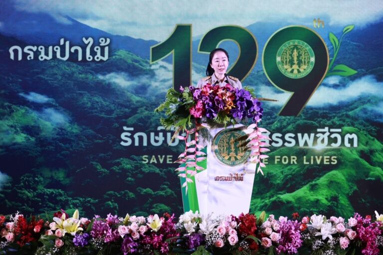129 ปี กรมป่าไม้ “รักษ์ป่า รักษาสรรพชีวิต” แก้ปัญหาป่าไม้ – ยกระดับคุณภาพชีวิตประชาชน🌱