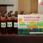ขยะอาหาร: วิกฤตบนจานที่เปลี่ยนเป็นโอกาสทองได้