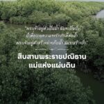 สืบสานปณิธานแม่แห่งแผ่นดิน สร้างป่าให้ยั่งยืนคู่แผ่นดินไทย